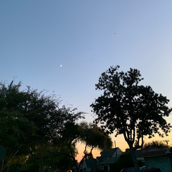 Meet your Posher, Danielle - Picture 1 of 1